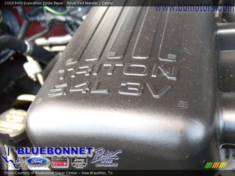 Royal Red Metallic / Camel 2009 Ford Expedition Eddie Bauer