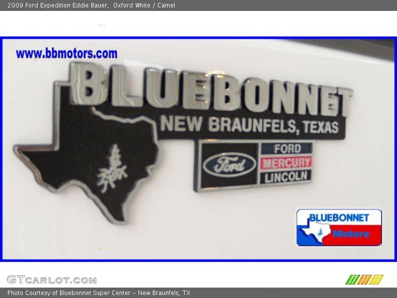 Oxford White / Camel 2009 Ford Expedition Eddie Bauer