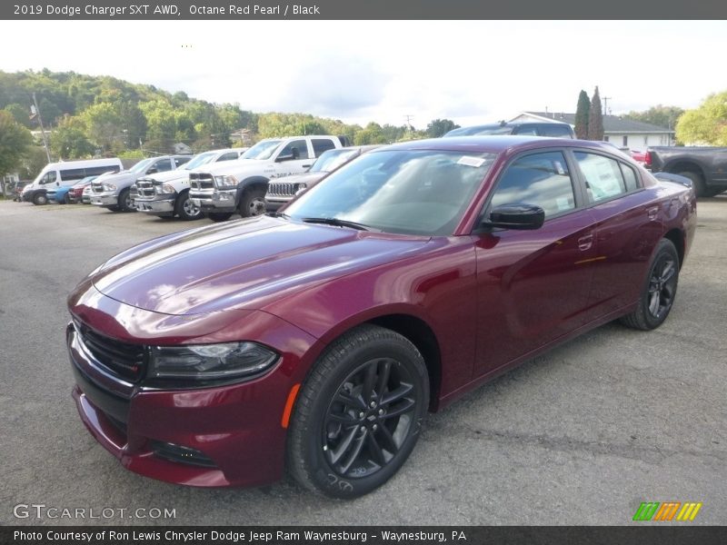 Octane Red Pearl / Black 2019 Dodge Charger SXT AWD