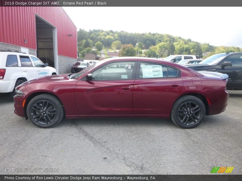 Octane Red Pearl / Black 2019 Dodge Charger SXT AWD