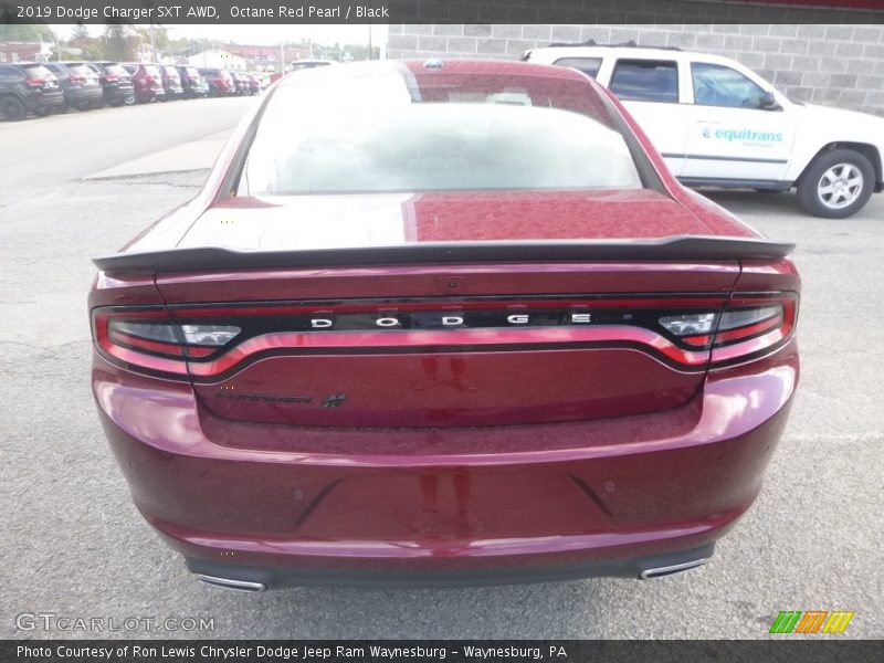 Octane Red Pearl / Black 2019 Dodge Charger SXT AWD