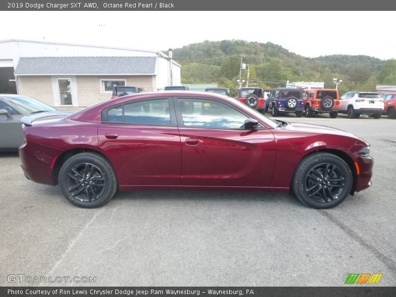 Octane Red Pearl / Black 2019 Dodge Charger SXT AWD