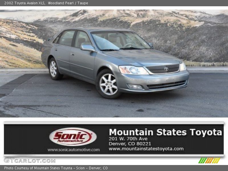 Woodland Pearl / Taupe 2002 Toyota Avalon XLS