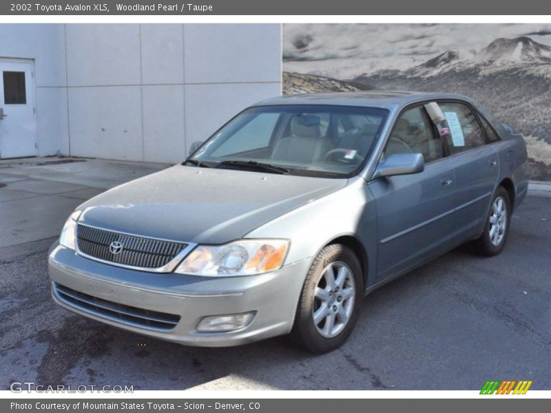 Woodland Pearl / Taupe 2002 Toyota Avalon XLS