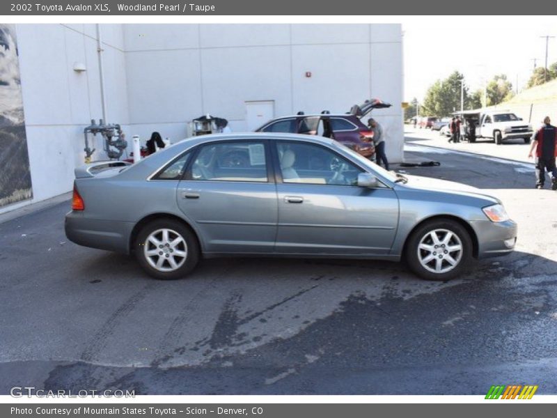 Woodland Pearl / Taupe 2002 Toyota Avalon XLS