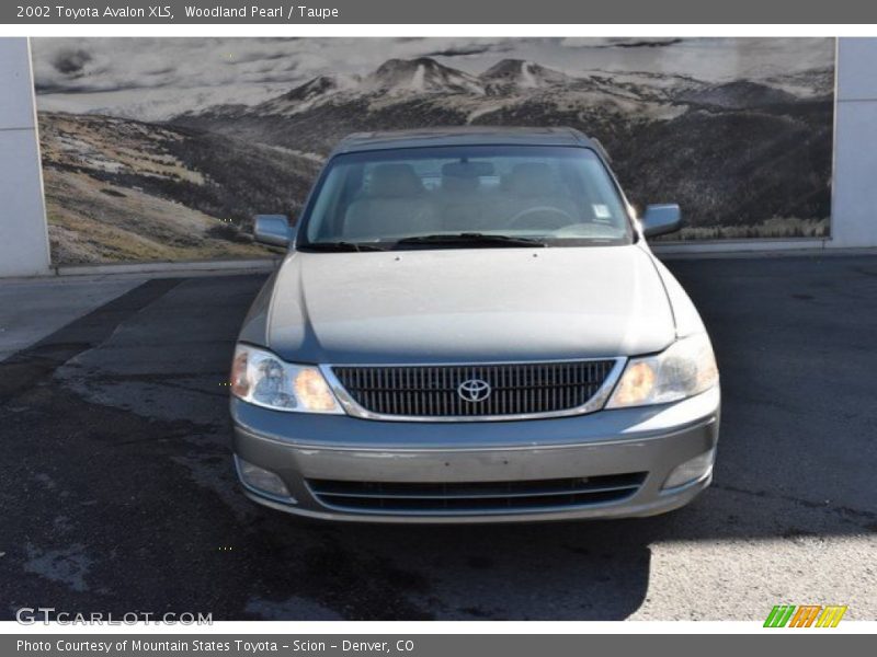 Woodland Pearl / Taupe 2002 Toyota Avalon XLS