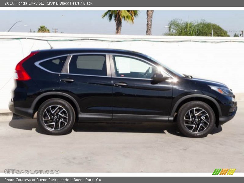 Crystal Black Pearl / Black 2016 Honda CR-V SE