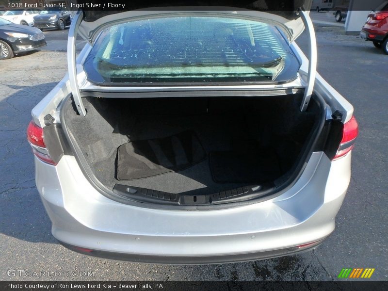 Ingot Silver / Ebony 2018 Ford Fusion SE