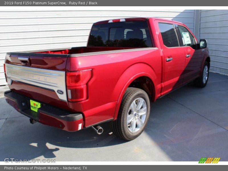 Ruby Red / Black 2019 Ford F150 Platinum SuperCrew