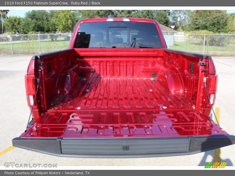 Ruby Red / Black 2019 Ford F150 Platinum SuperCrew