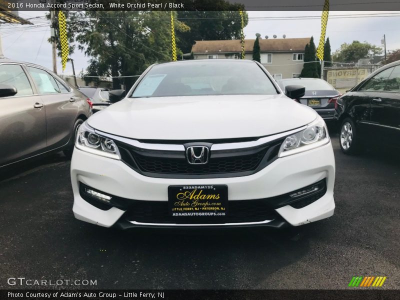 White Orchid Pearl / Black 2016 Honda Accord Sport Sedan