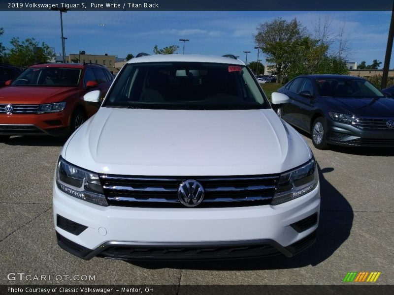 Pure White / Titan Black 2019 Volkswagen Tiguan S