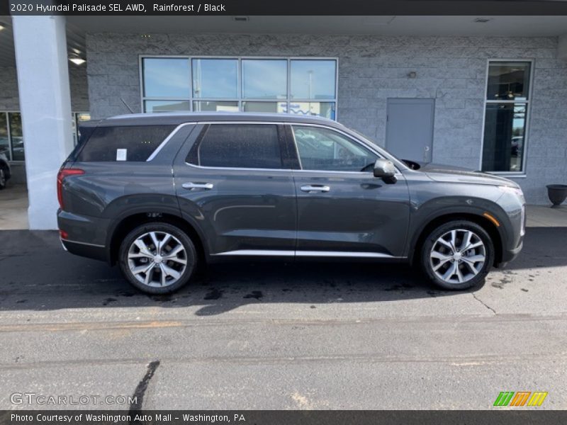 Rainforest / Black 2020 Hyundai Palisade SEL AWD