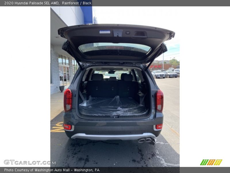 Rainforest / Black 2020 Hyundai Palisade SEL AWD
