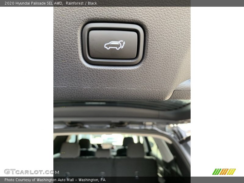 Rainforest / Black 2020 Hyundai Palisade SEL AWD
