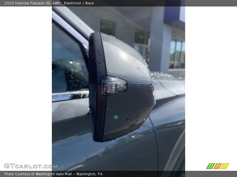 Rainforest / Black 2020 Hyundai Palisade SEL AWD