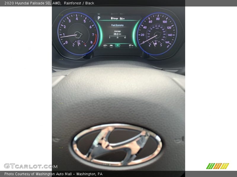 Rainforest / Black 2020 Hyundai Palisade SEL AWD