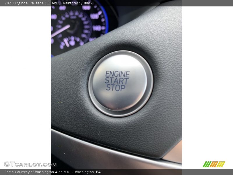 Rainforest / Black 2020 Hyundai Palisade SEL AWD