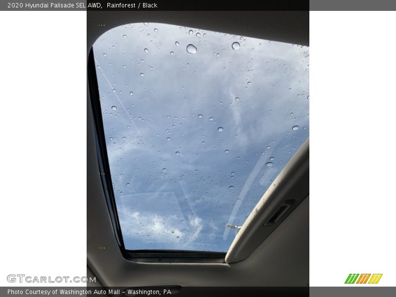 Rainforest / Black 2020 Hyundai Palisade SEL AWD