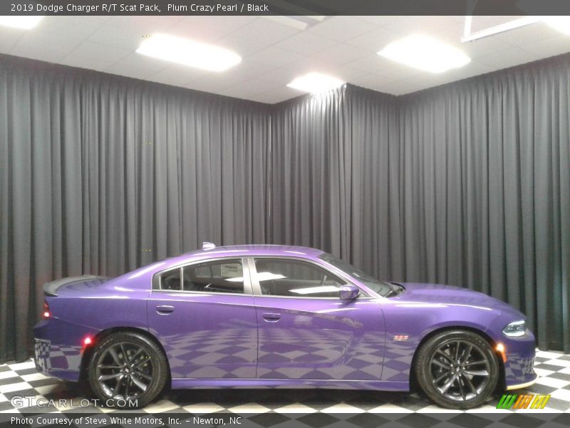 Plum Crazy Pearl / Black 2019 Dodge Charger R/T Scat Pack