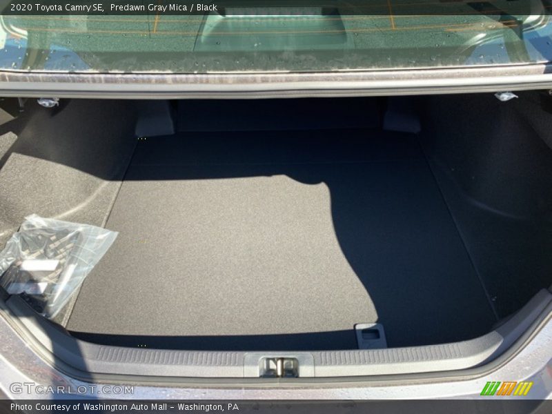 Predawn Gray Mica / Black 2020 Toyota Camry SE