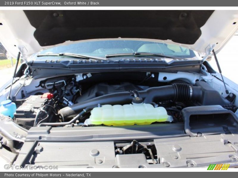 Oxford White / Black 2019 Ford F150 XLT SuperCrew