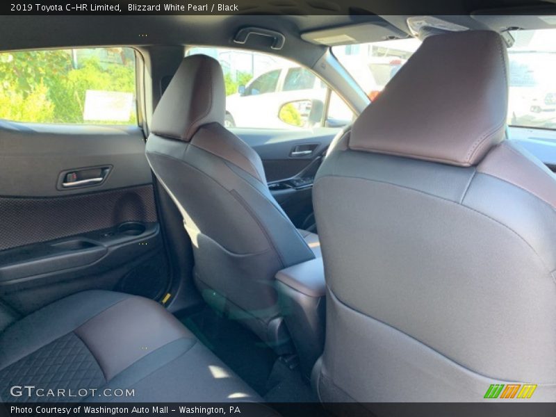 Blizzard White Pearl / Black 2019 Toyota C-HR Limited