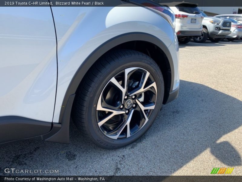 Blizzard White Pearl / Black 2019 Toyota C-HR Limited