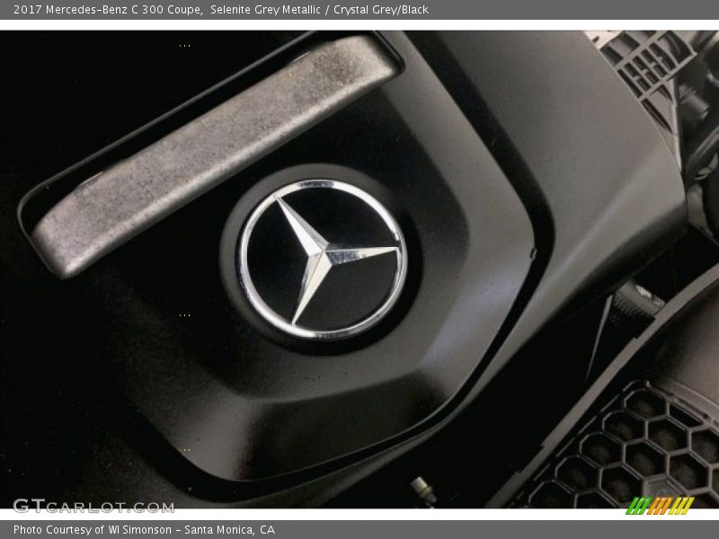 Selenite Grey Metallic / Crystal Grey/Black 2017 Mercedes-Benz C 300 Coupe