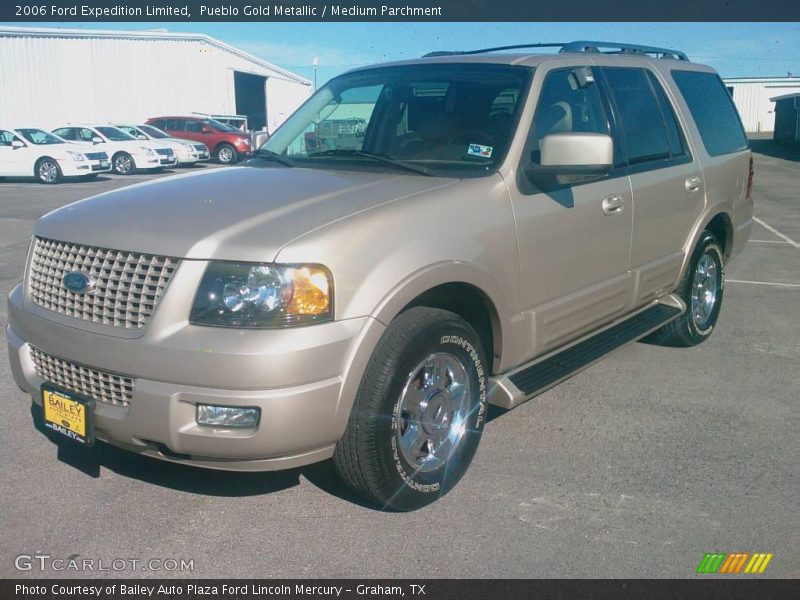 Pueblo Gold Metallic / Medium Parchment 2006 Ford Expedition Limited