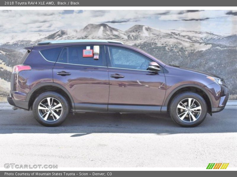 Black / Black 2018 Toyota RAV4 XLE AWD