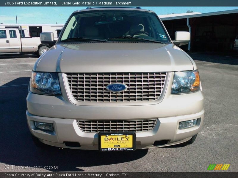 Pueblo Gold Metallic / Medium Parchment 2006 Ford Expedition Limited