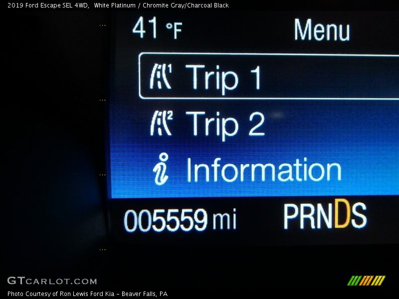 White Platinum / Chromite Gray/Charcoal Black 2019 Ford Escape SEL 4WD