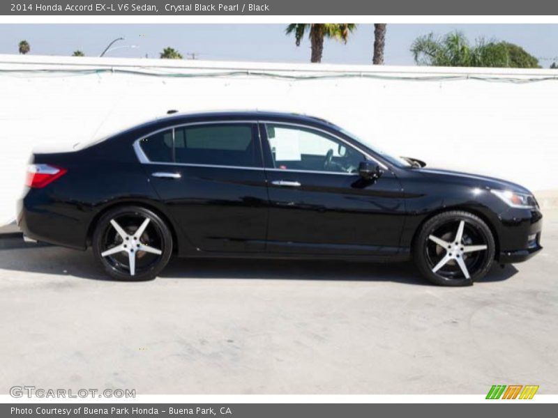 Crystal Black Pearl / Black 2014 Honda Accord EX-L V6 Sedan