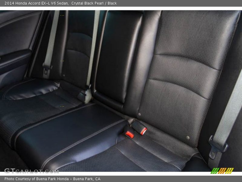 Crystal Black Pearl / Black 2014 Honda Accord EX-L V6 Sedan