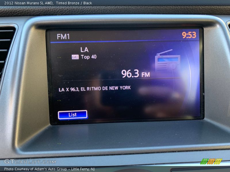 Tinted Bronze / Black 2012 Nissan Murano SL AWD