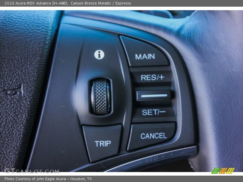 Canyon Bronze Metallic / Espresso 2019 Acura MDX Advance SH-AWD
