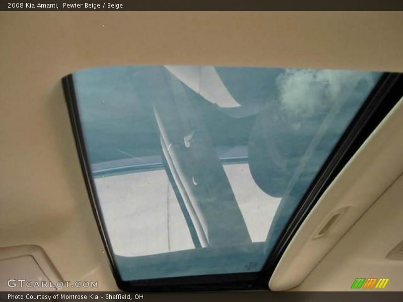 Pewter Beige / Beige 2008 Kia Amanti
