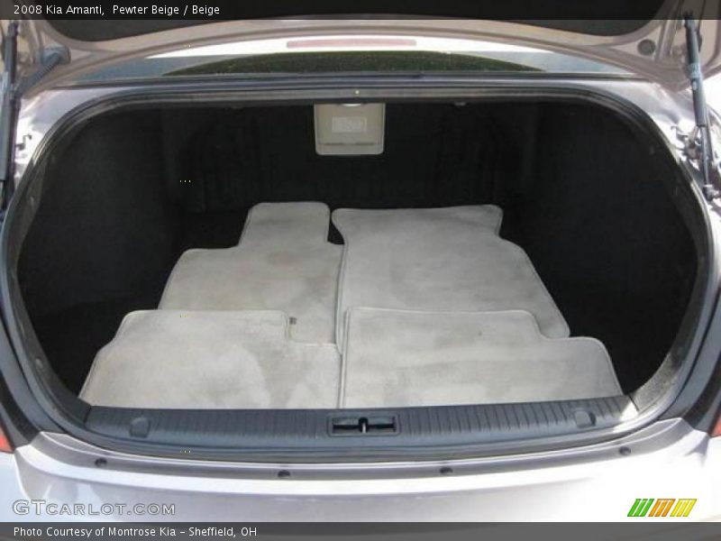 Pewter Beige / Beige 2008 Kia Amanti