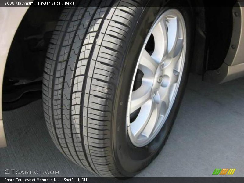 Pewter Beige / Beige 2008 Kia Amanti