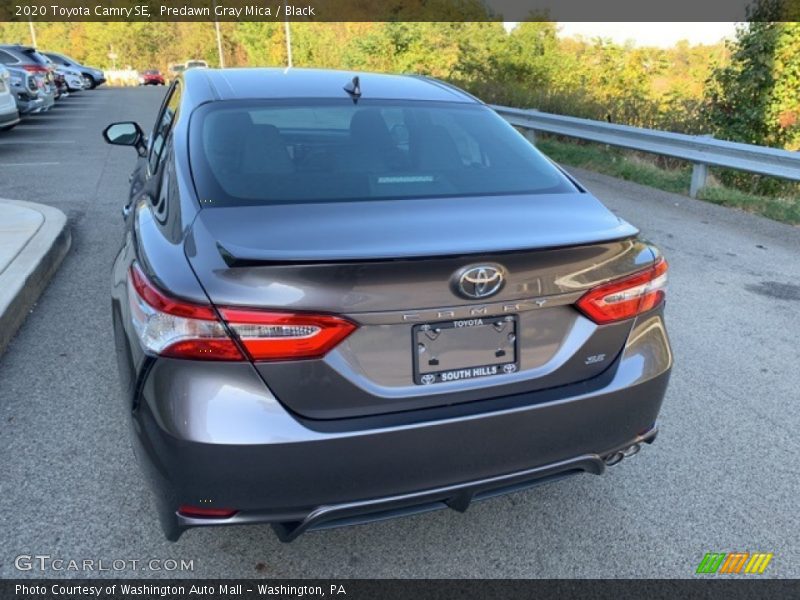 Predawn Gray Mica / Black 2020 Toyota Camry SE