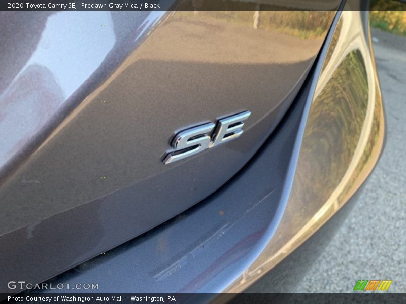 Predawn Gray Mica / Black 2020 Toyota Camry SE