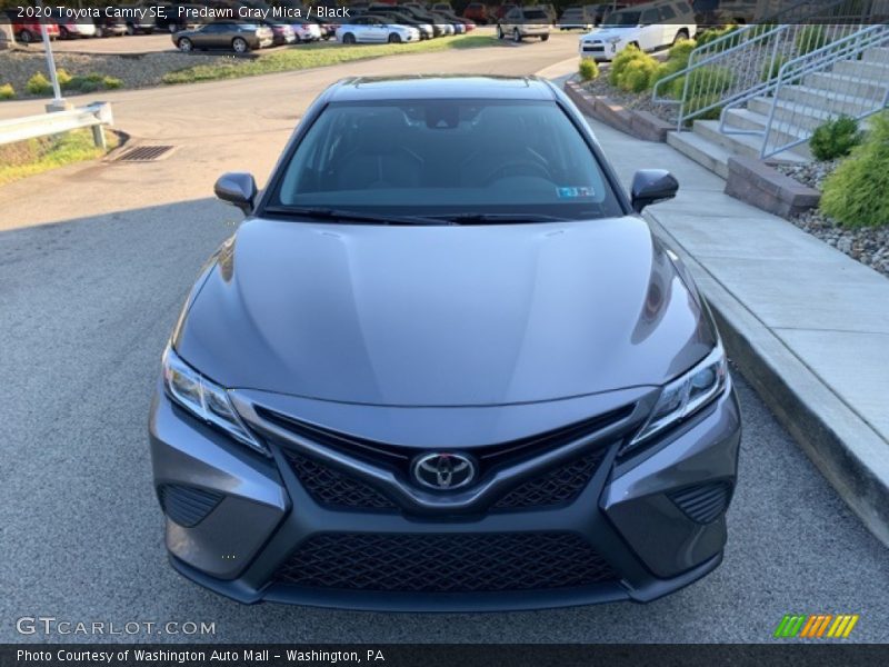 Predawn Gray Mica / Black 2020 Toyota Camry SE