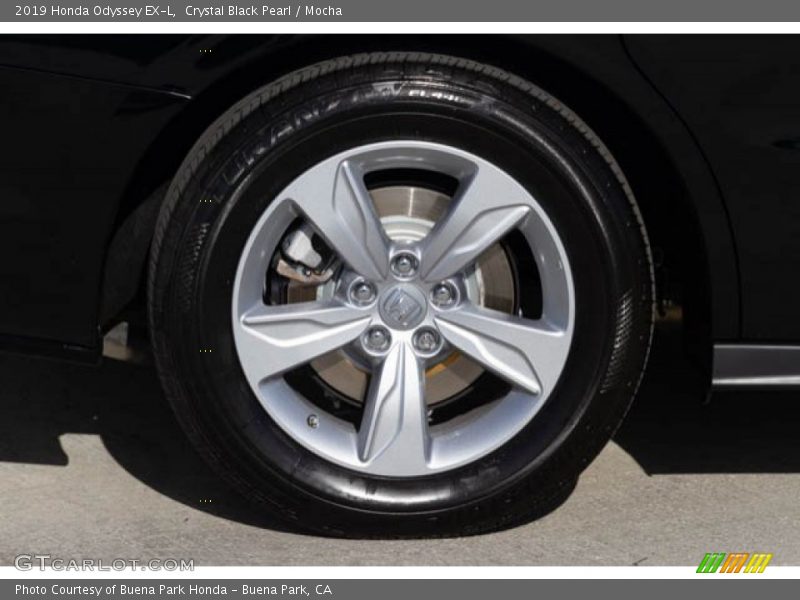 Crystal Black Pearl / Mocha 2019 Honda Odyssey EX-L