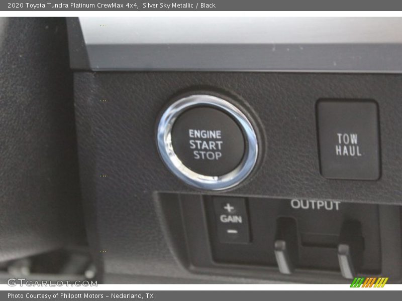 Silver Sky Metallic / Black 2020 Toyota Tundra Platinum CrewMax 4x4