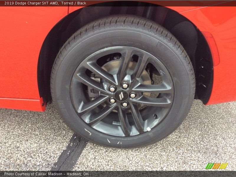 Torred / Black 2019 Dodge Charger SXT AWD
