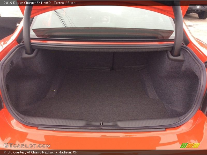 Torred / Black 2019 Dodge Charger SXT AWD