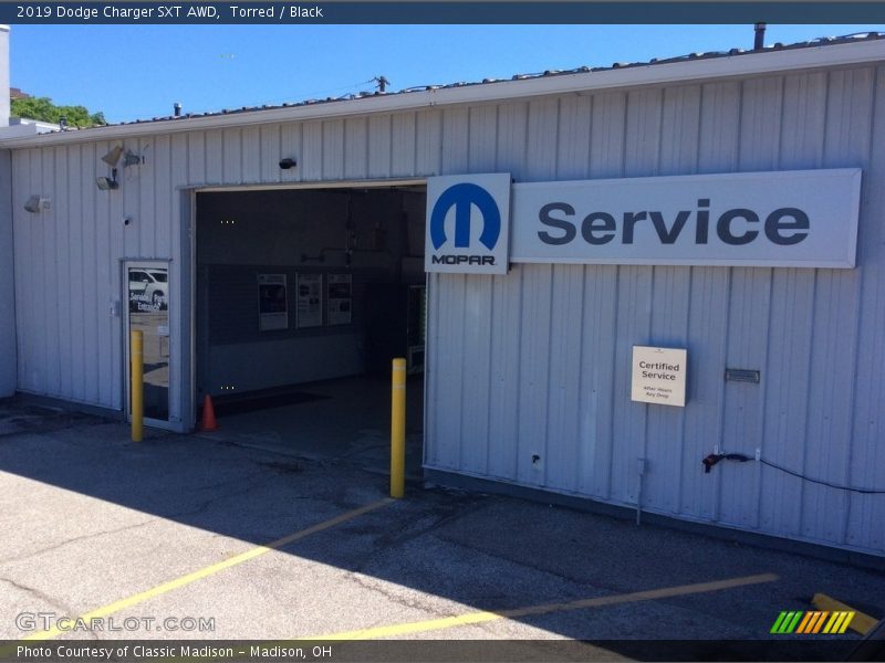 Torred / Black 2019 Dodge Charger SXT AWD