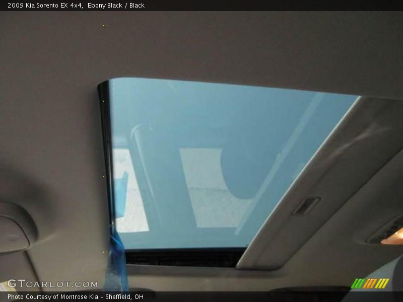 Ebony Black / Black 2009 Kia Sorento EX 4x4