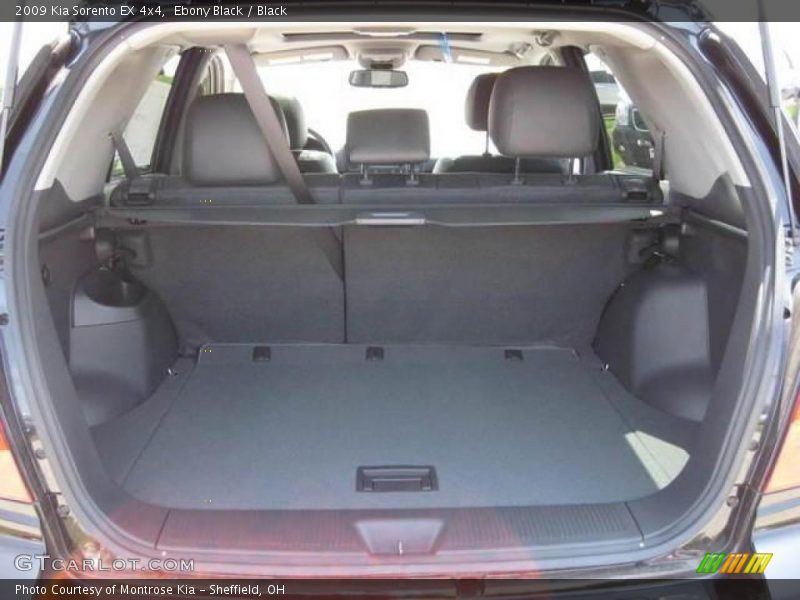Ebony Black / Black 2009 Kia Sorento EX 4x4